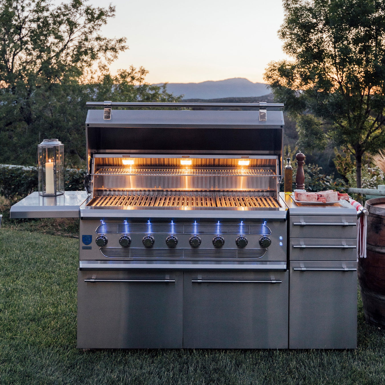 Hybrid Grills